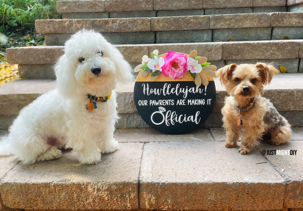 Howllelujah dog pun engagement announcement idea